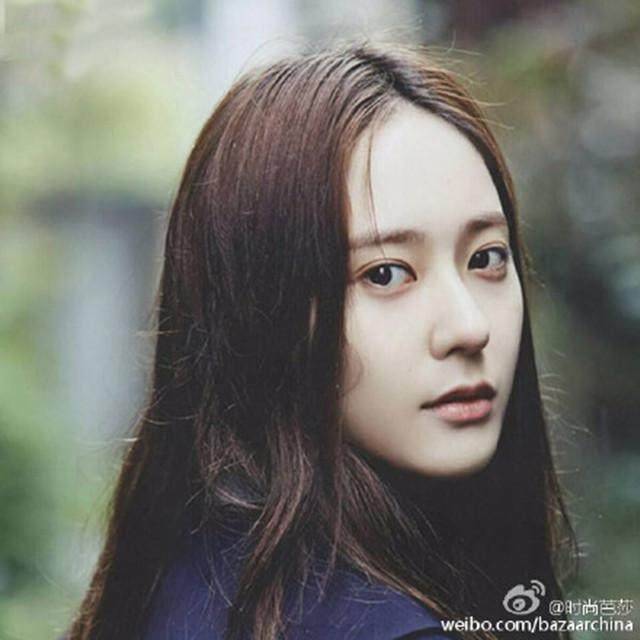 152网主 弹壳与玫瑰